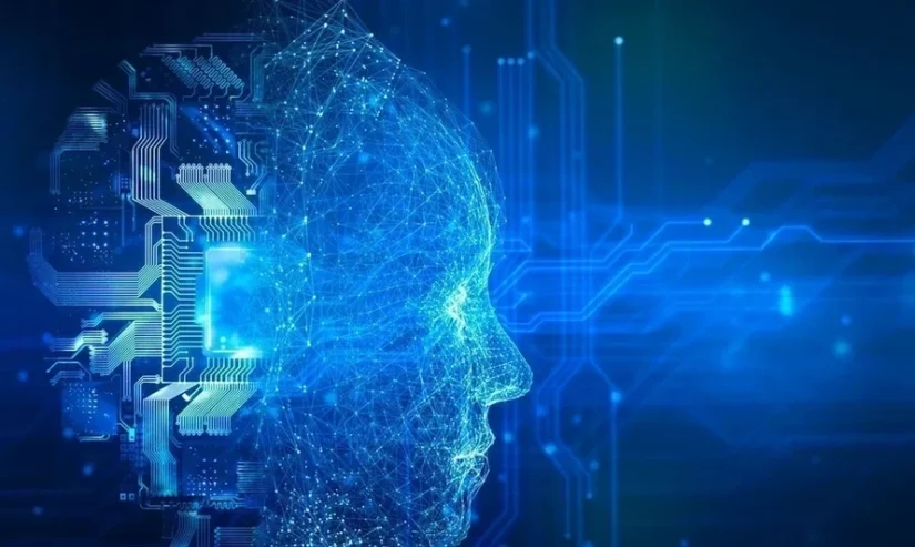 五个每位首席信息安全官 (CISO)